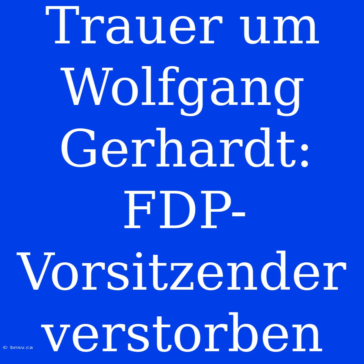 Trauer Um Wolfgang Gerhardt: FDP-Vorsitzender Verstorben