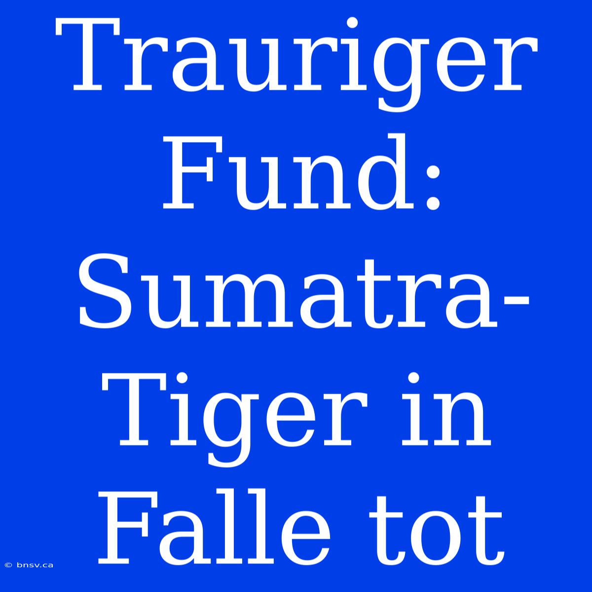 Trauriger Fund: Sumatra-Tiger In Falle Tot