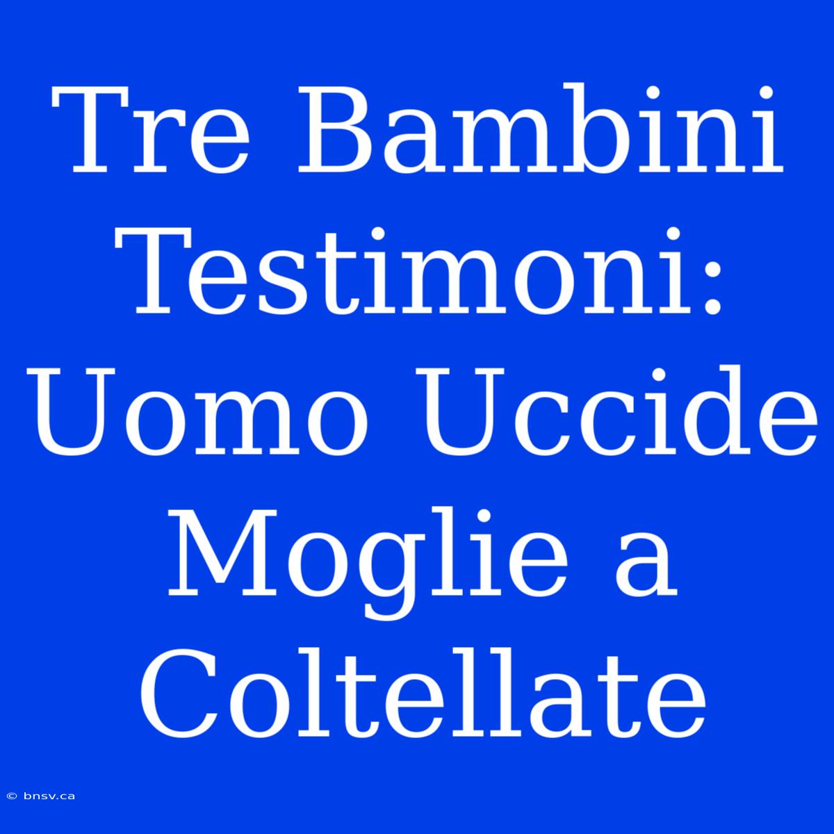 Tre Bambini Testimoni: Uomo Uccide Moglie A Coltellate