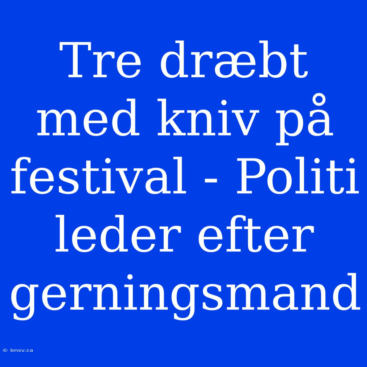 Tre Dræbt Med Kniv På Festival - Politi Leder Efter Gerningsmand