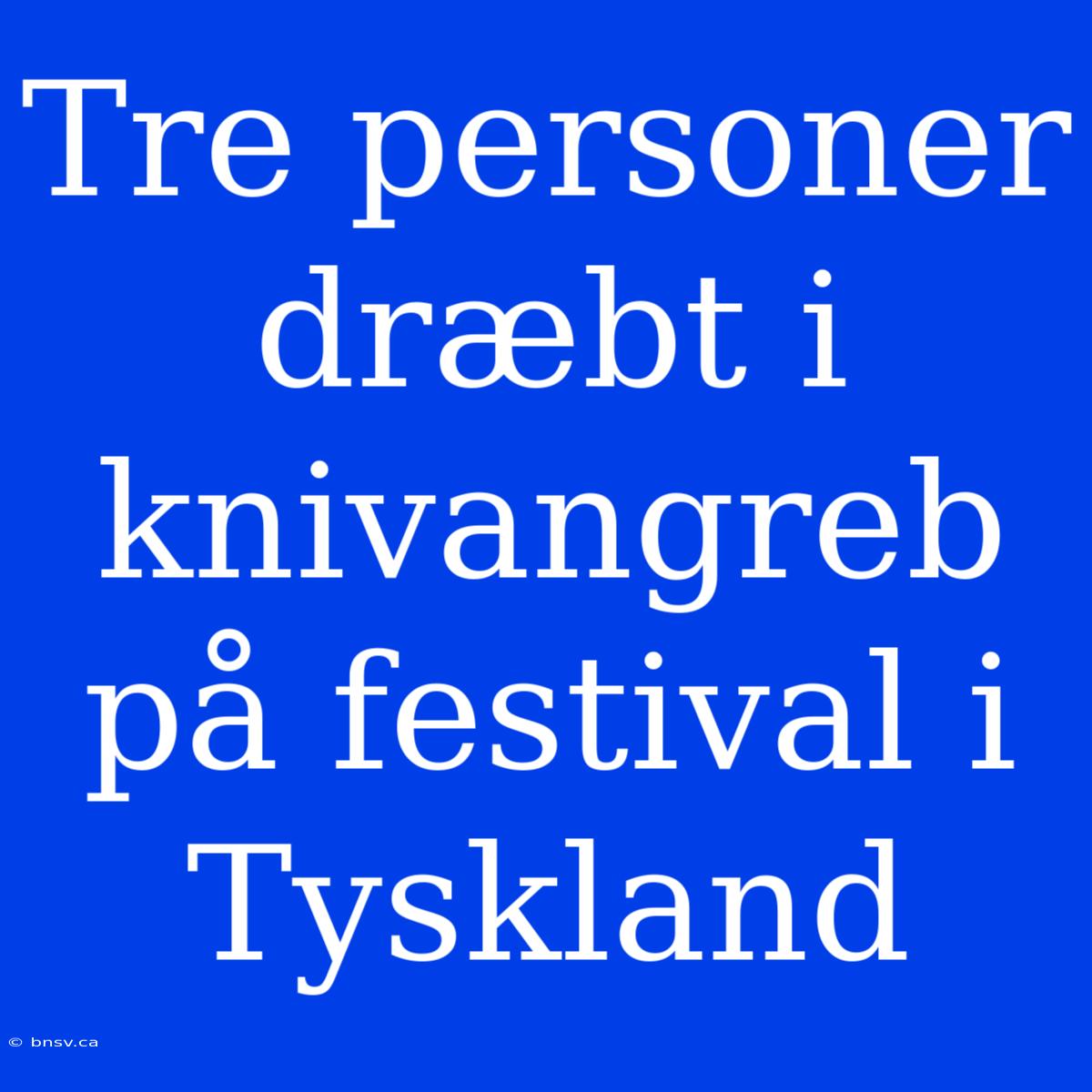 Tre Personer Dræbt I Knivangreb På Festival I Tyskland