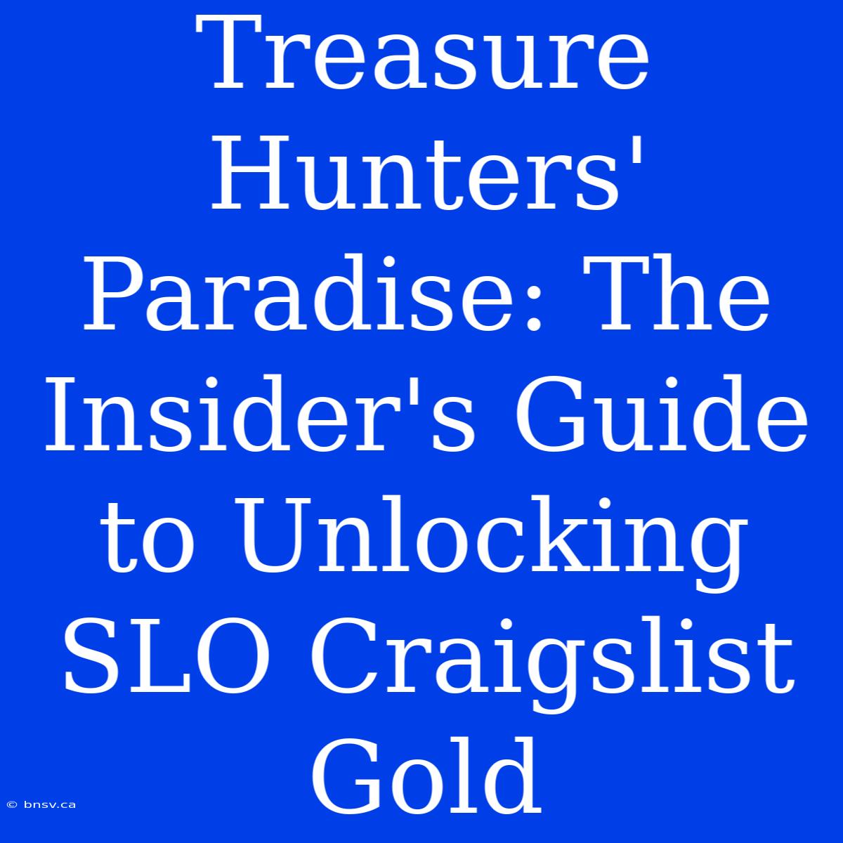 Treasure Hunters' Paradise: The Insider's Guide To Unlocking SLO Craigslist Gold