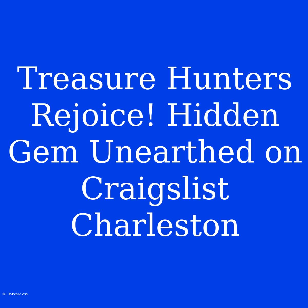 Treasure Hunters Rejoice! Hidden Gem Unearthed On Craigslist Charleston