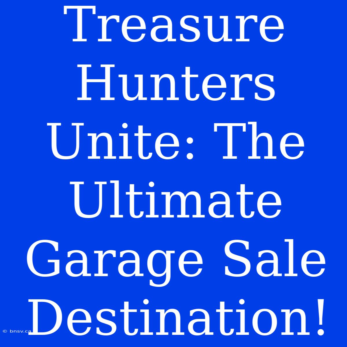 Treasure Hunters Unite: The Ultimate Garage Sale Destination!