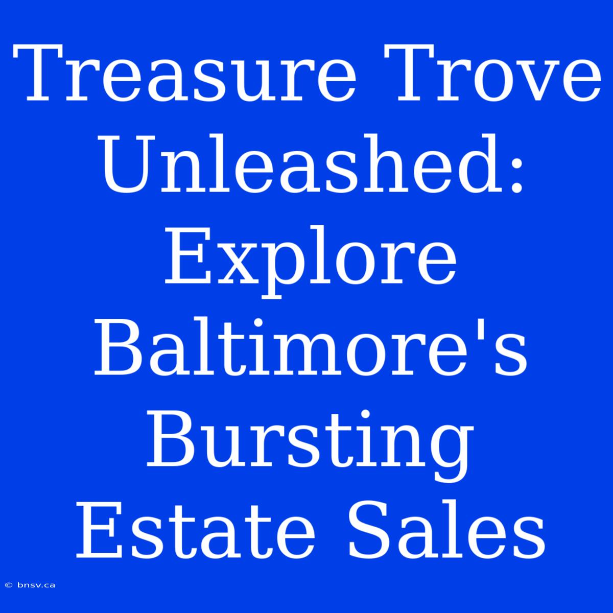 Treasure Trove Unleashed: Explore Baltimore's Bursting Estate Sales