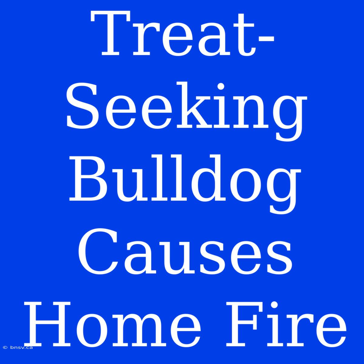 Treat-Seeking Bulldog Causes Home Fire