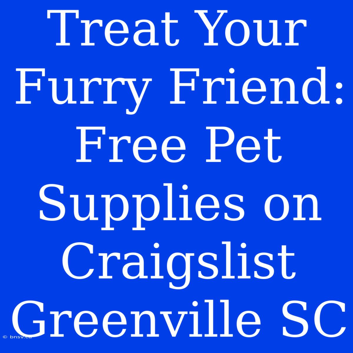 Treat Your Furry Friend: Free Pet Supplies On Craigslist Greenville SC