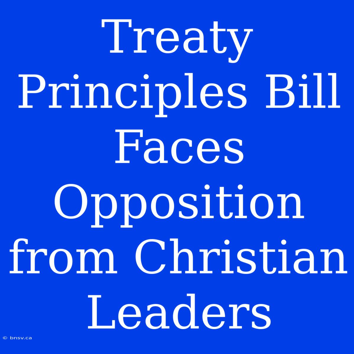 Treaty Principles Bill Faces Opposition From Christian Leaders