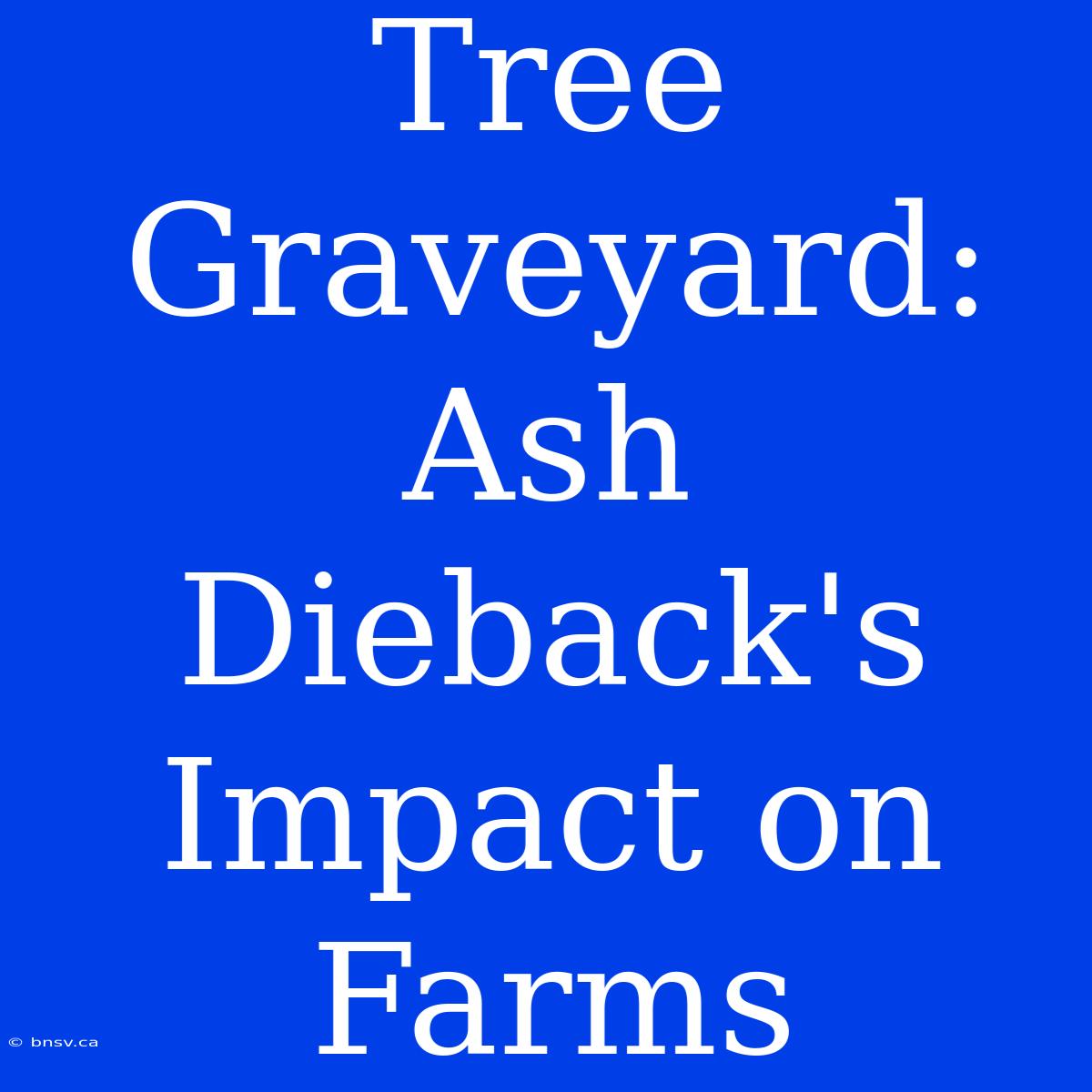 Tree Graveyard: Ash Dieback's Impact On Farms