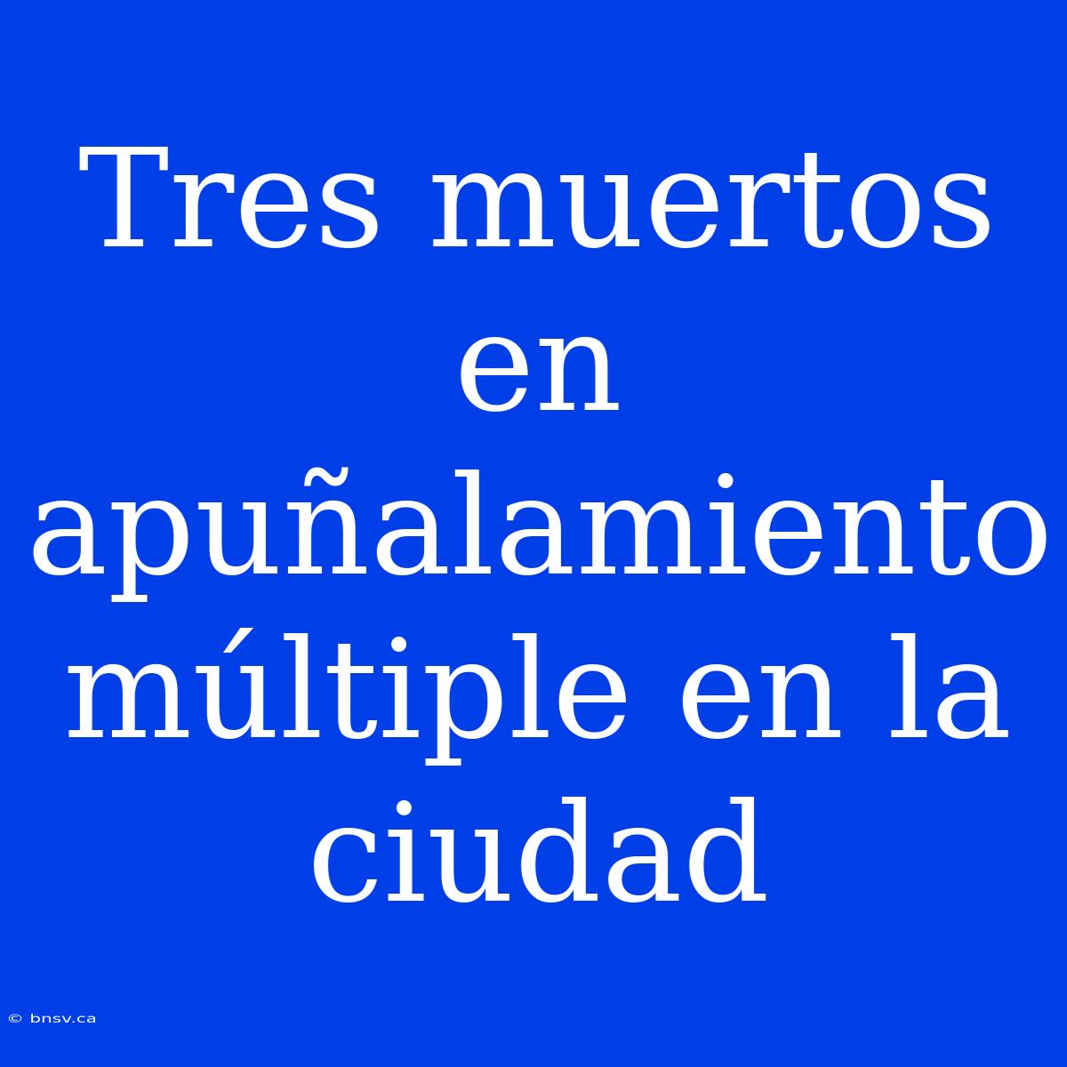 Tres Muertos En Apuñalamiento Múltiple En La Ciudad