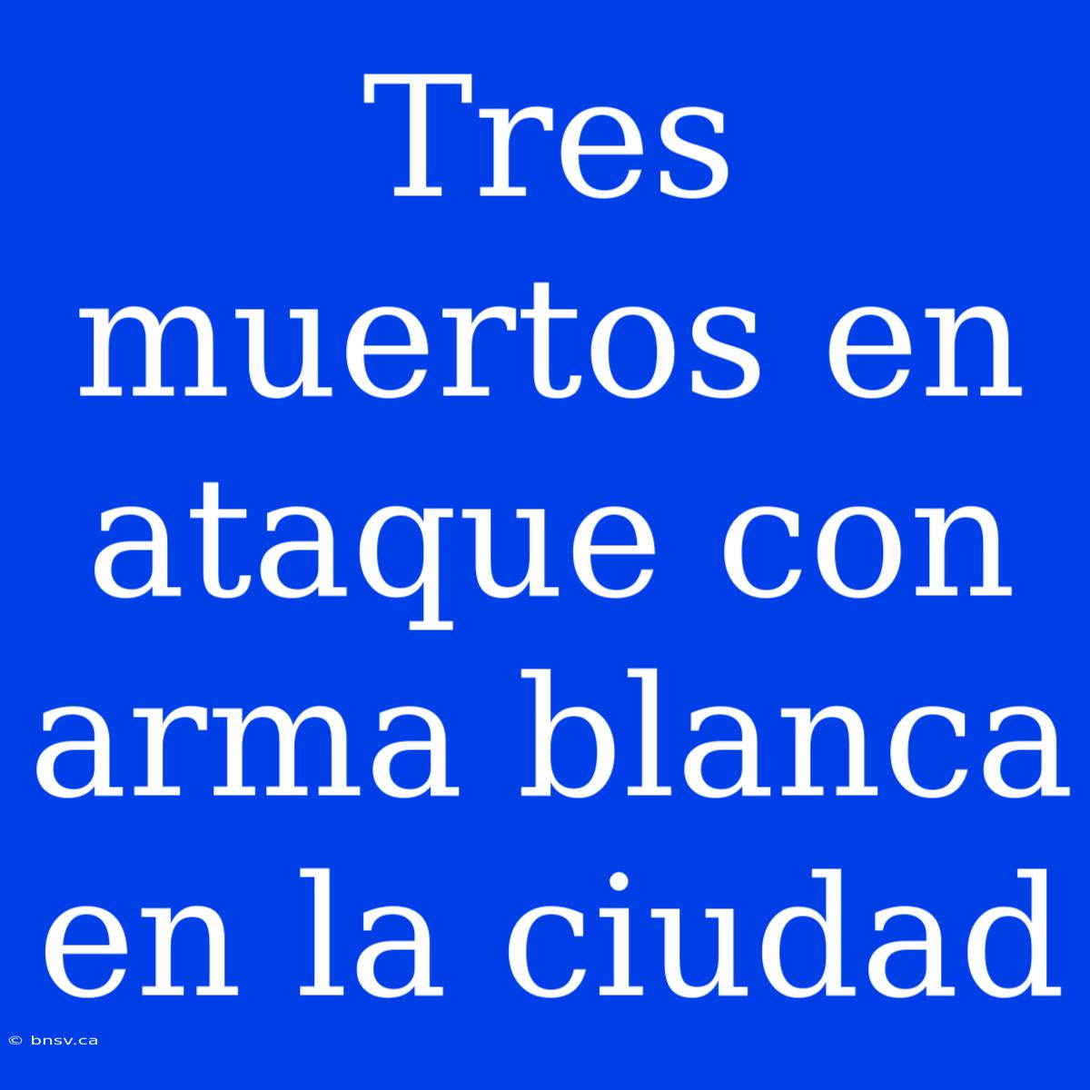 Tres Muertos En Ataque Con Arma Blanca En La Ciudad