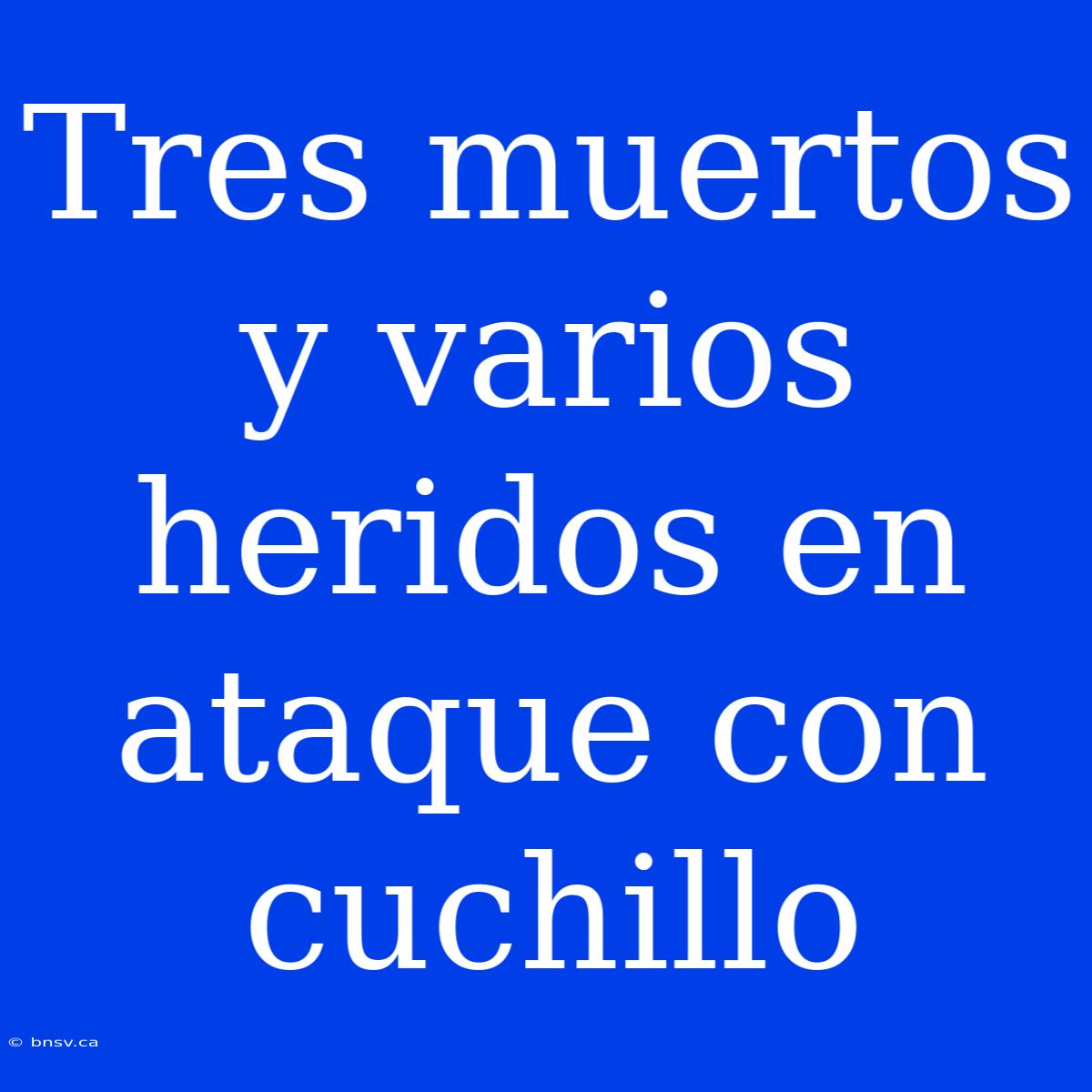 Tres Muertos Y Varios Heridos En Ataque Con Cuchillo