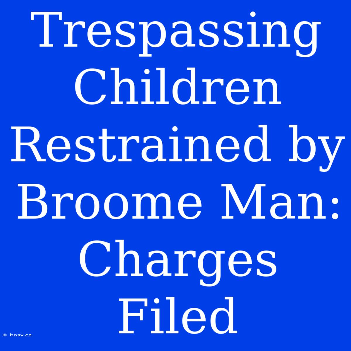 Trespassing Children Restrained By Broome Man: Charges Filed