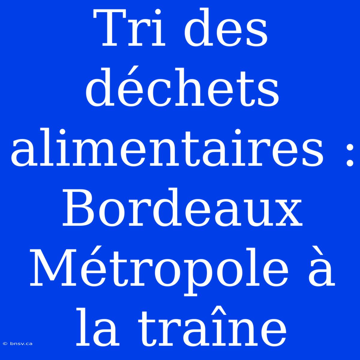 Tri Des Déchets Alimentaires : Bordeaux Métropole À La Traîne