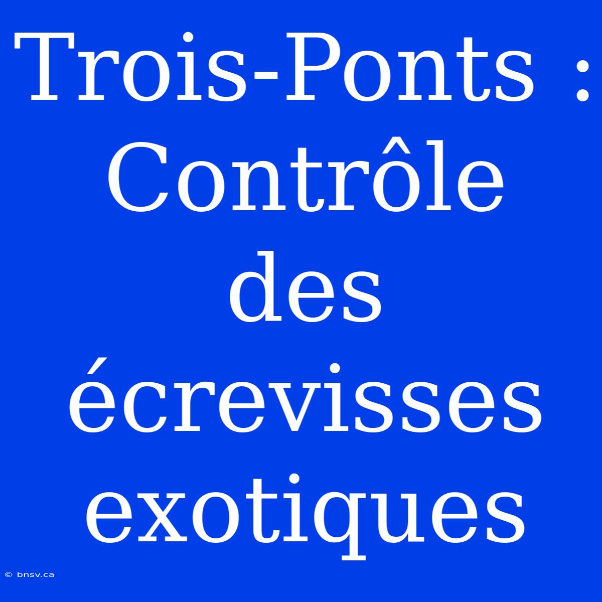 Trois-Ponts : Contrôle Des Écrevisses Exotiques