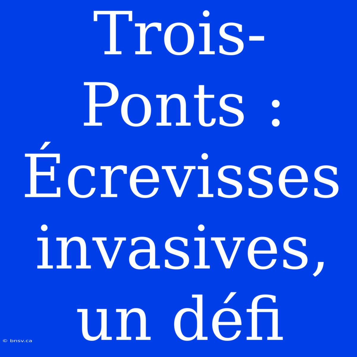 Trois-Ponts : Écrevisses Invasives, Un Défi