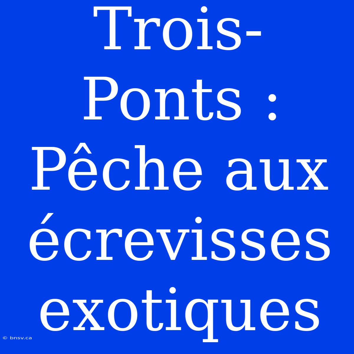 Trois-Ponts : Pêche Aux Écrevisses Exotiques