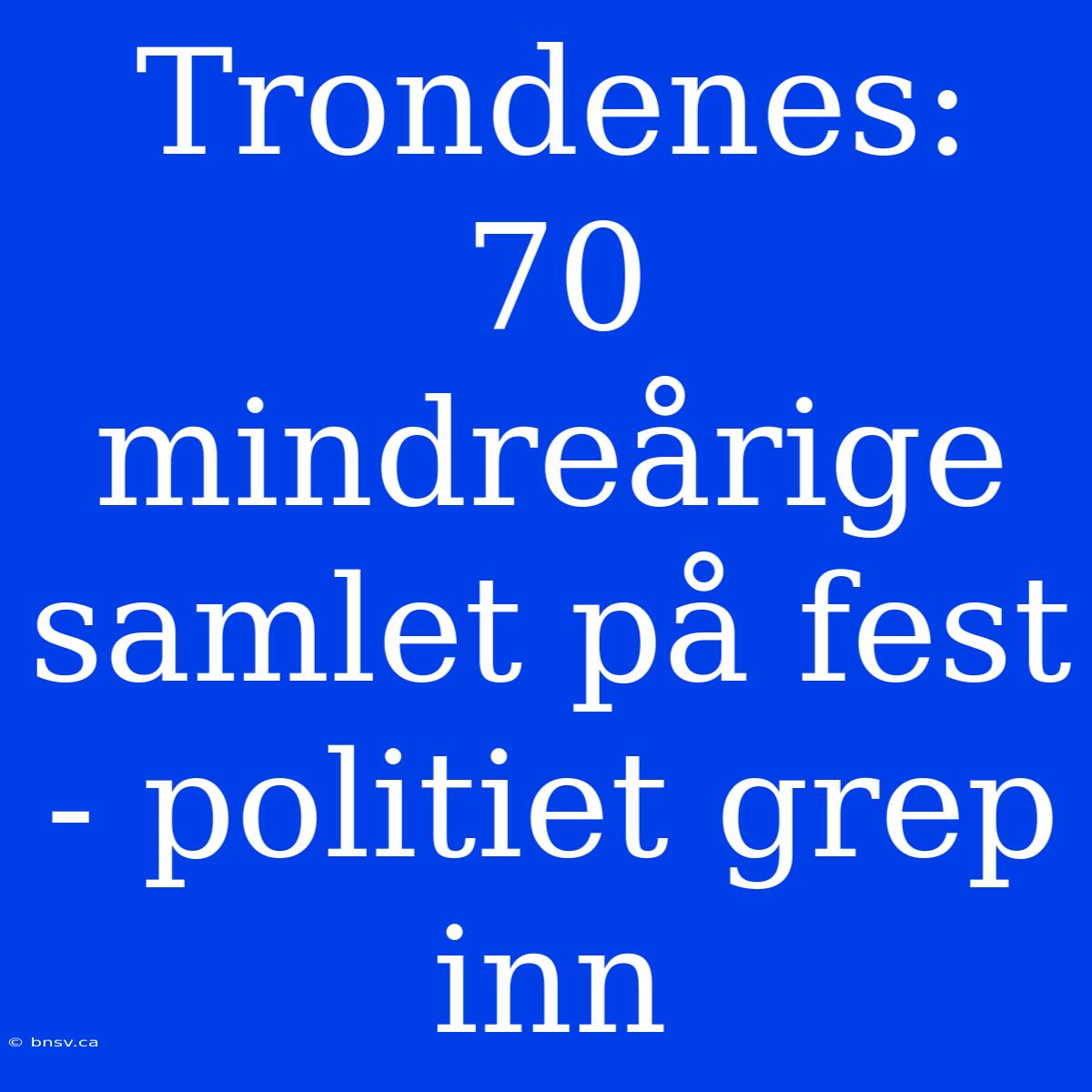 Trondenes: 70 Mindreårige Samlet På Fest - Politiet Grep Inn