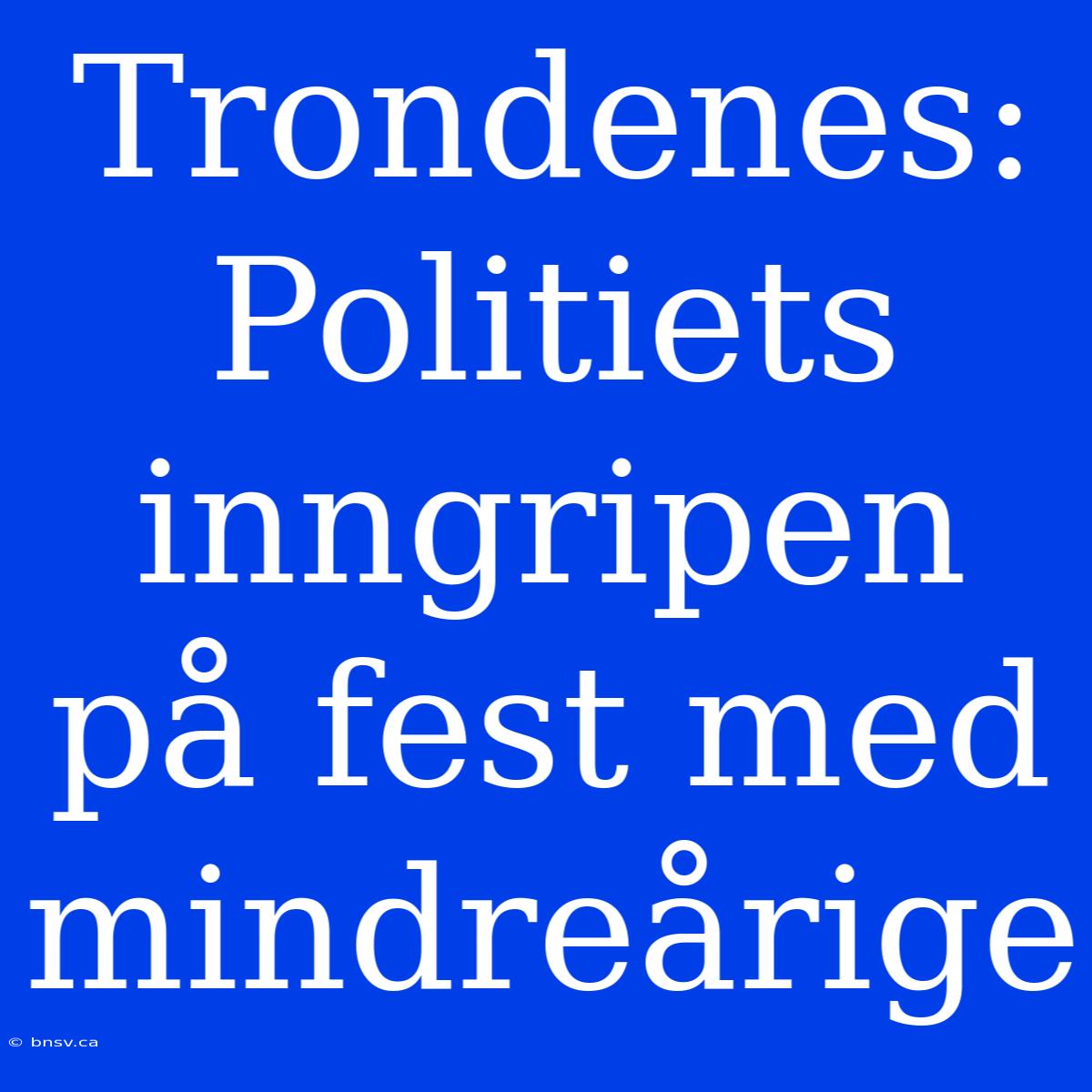 Trondenes: Politiets Inngripen På Fest Med Mindreårige