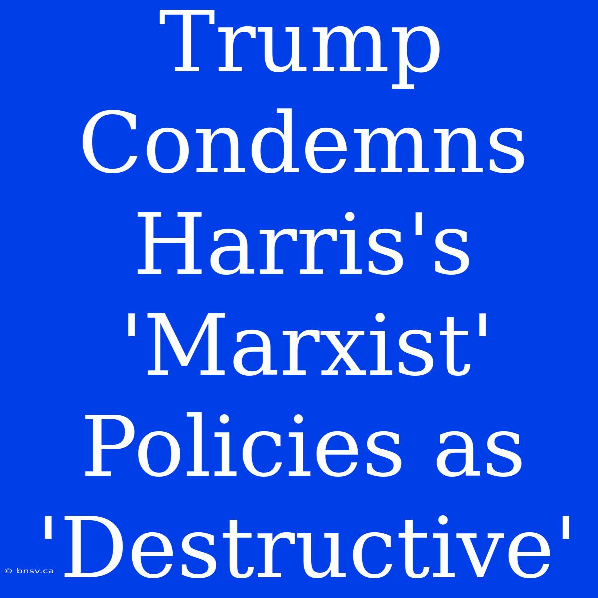 Trump Condemns Harris's 'Marxist' Policies As 'Destructive'