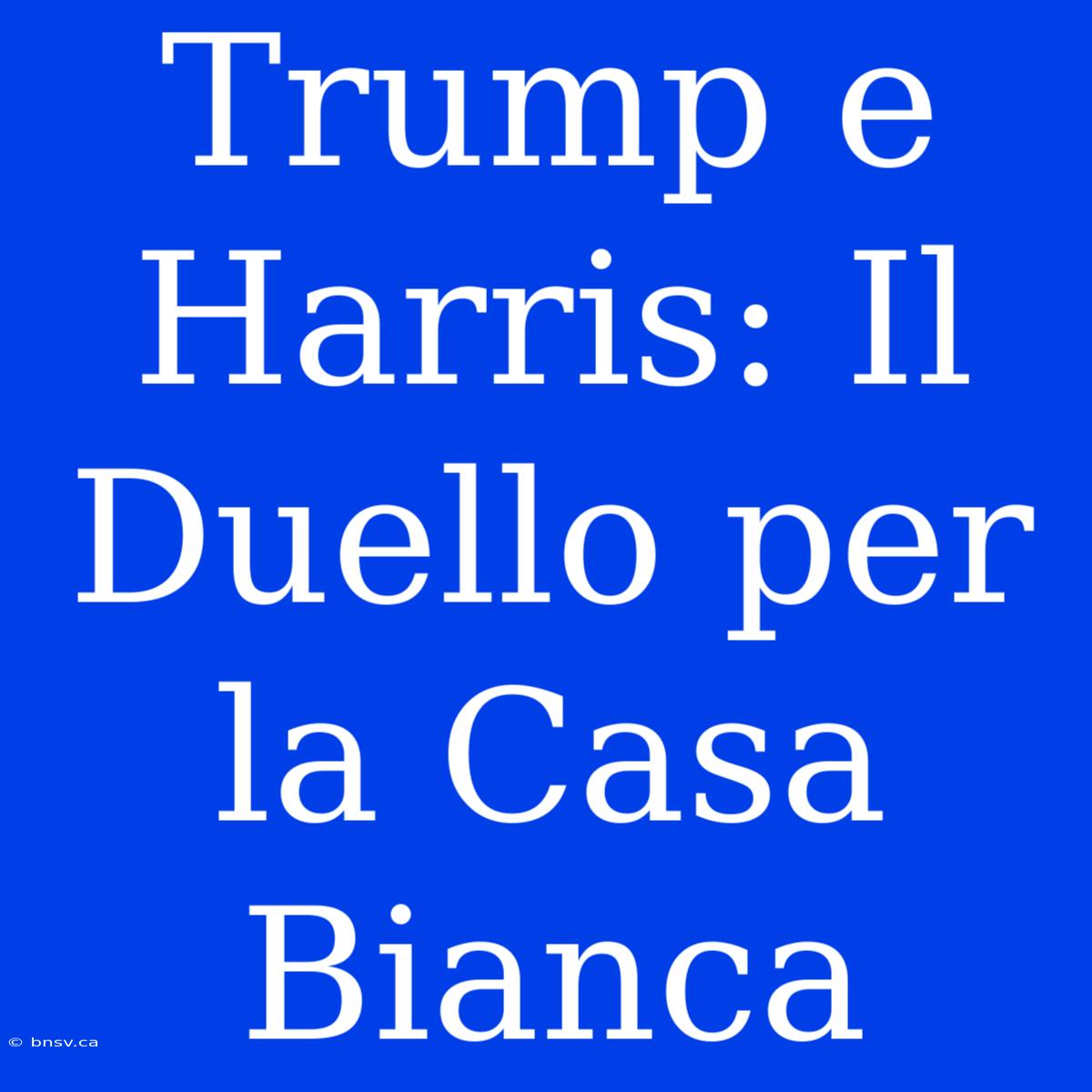 Trump E Harris: Il Duello Per La Casa Bianca