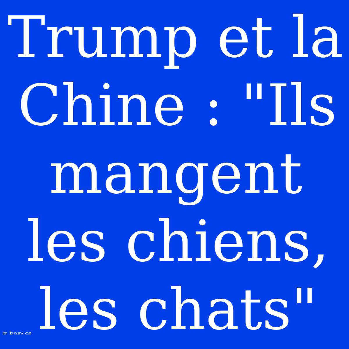 Trump Et La Chine : 