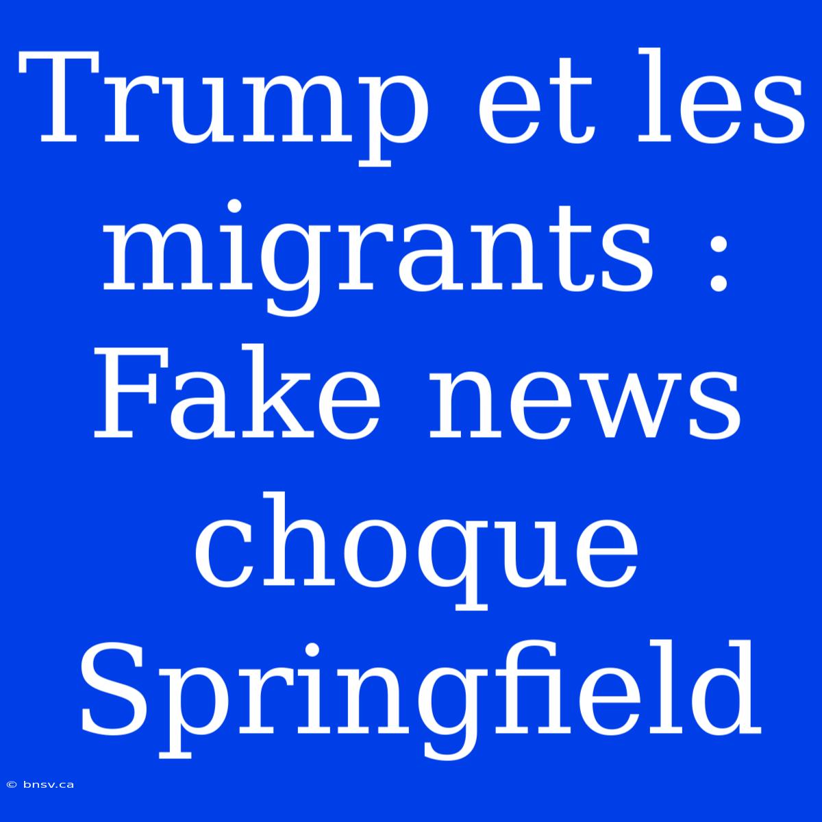 Trump Et Les Migrants : Fake News Choque Springfield