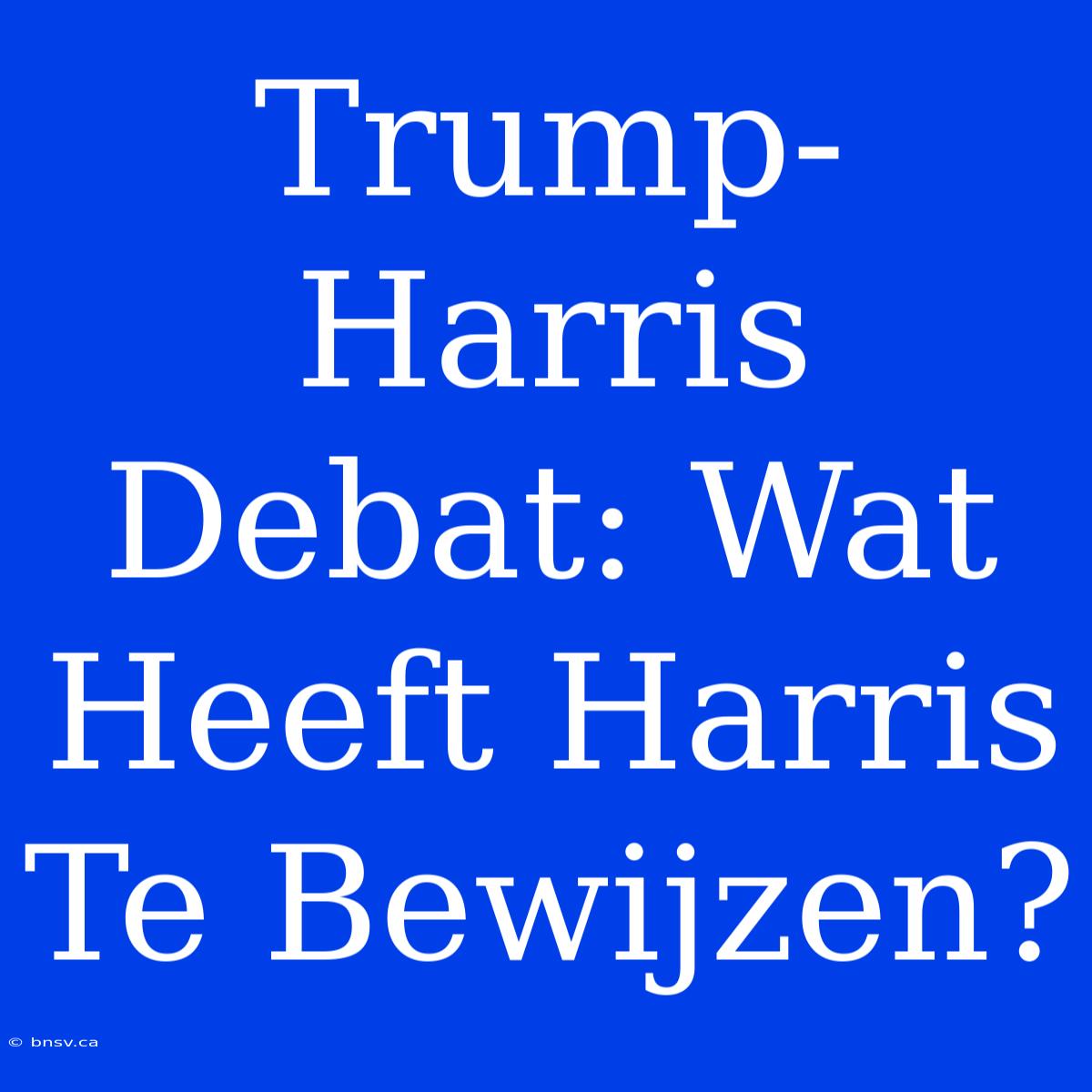 Trump-Harris Debat: Wat Heeft Harris Te Bewijzen?