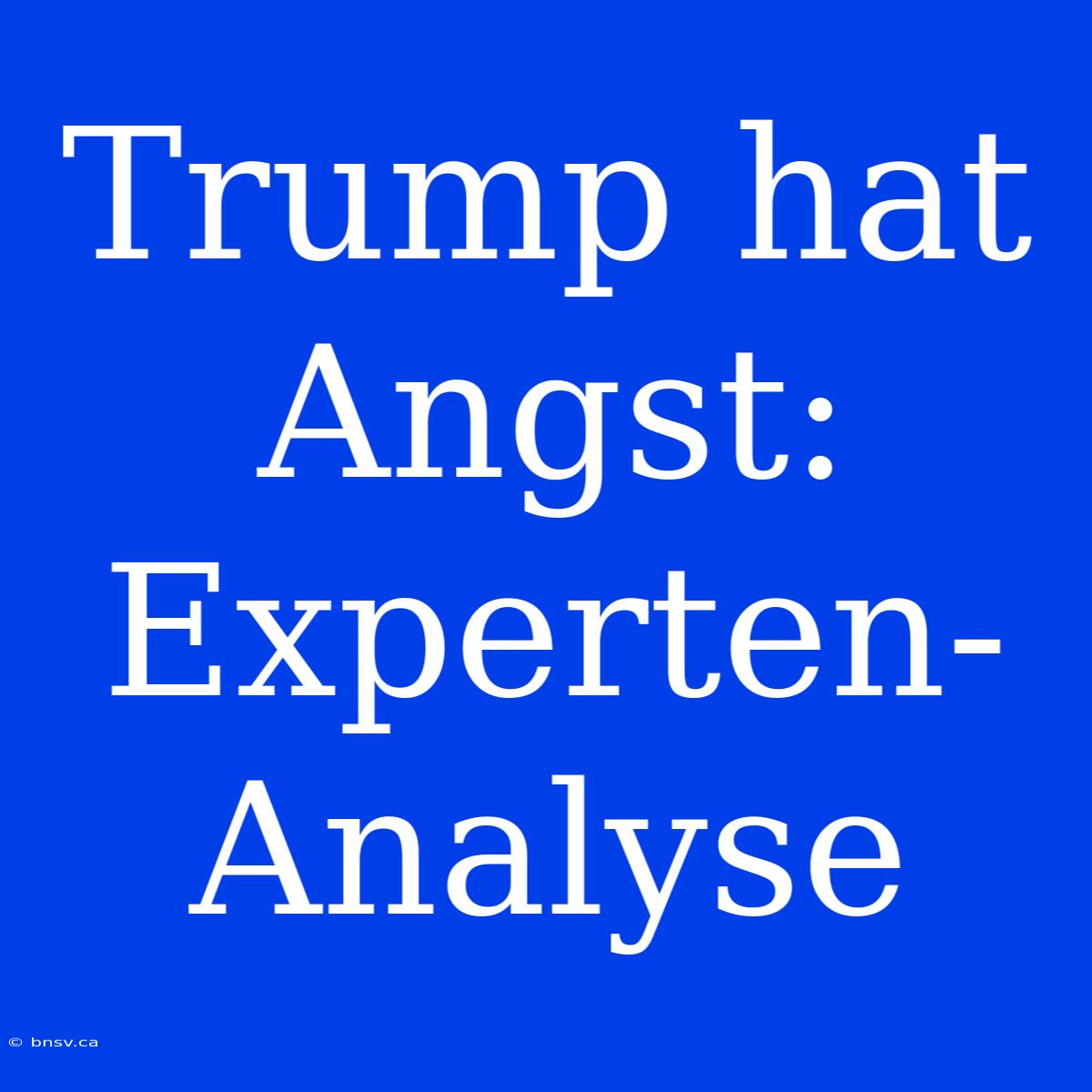 Trump Hat Angst:  Experten-Analyse