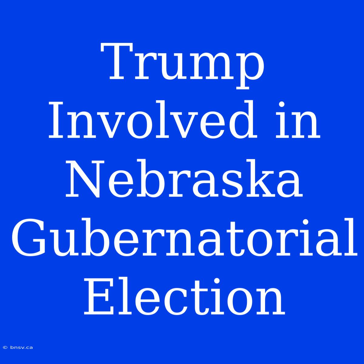 Trump Involved In Nebraska Gubernatorial Election