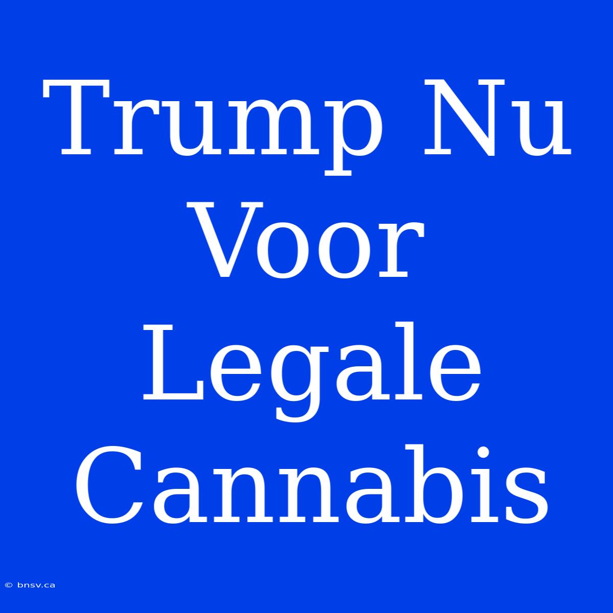 Trump Nu Voor Legale Cannabis