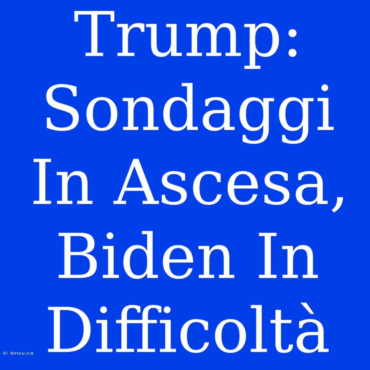 Trump:  Sondaggi In Ascesa,  Biden In Difficoltà