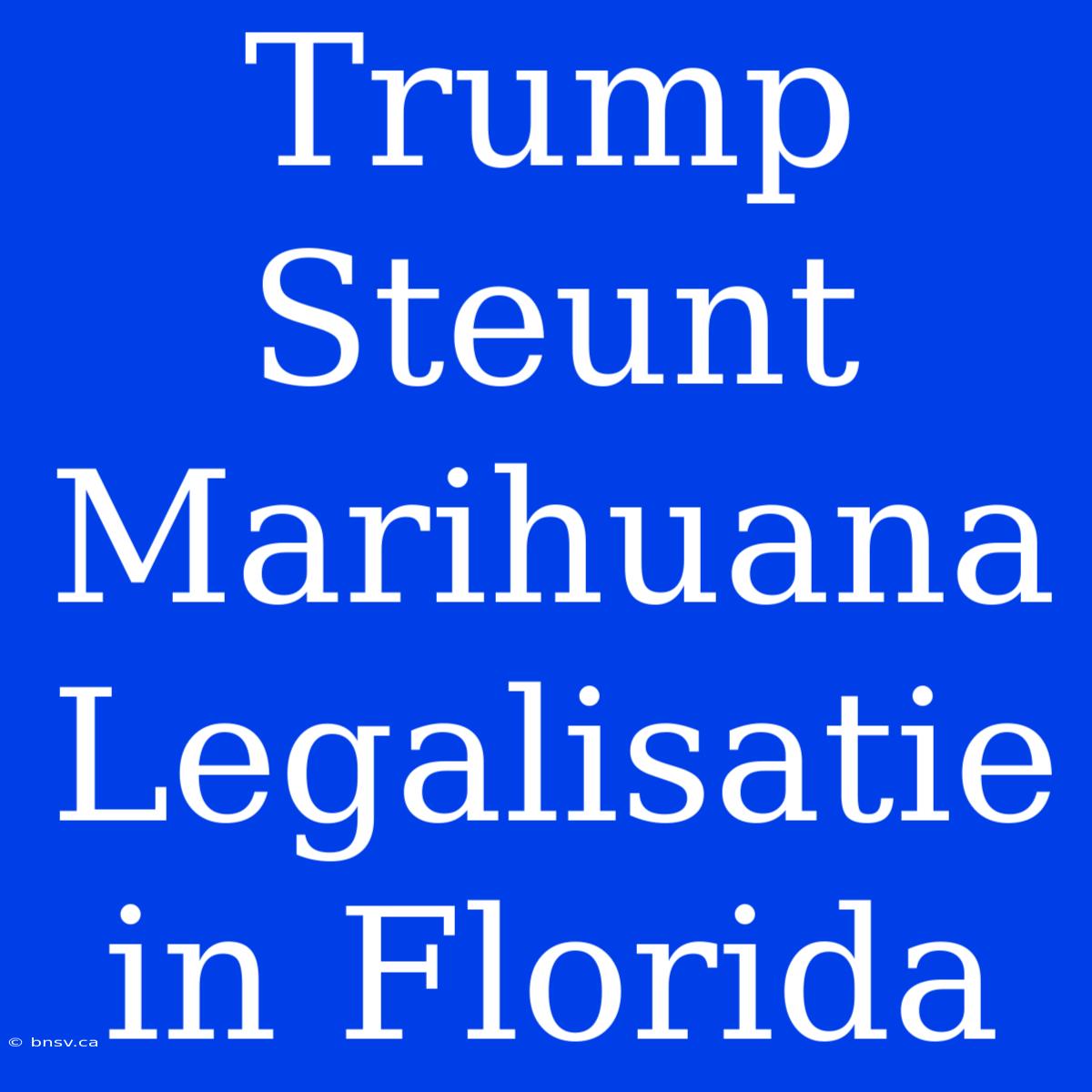 Trump Steunt Marihuana Legalisatie In Florida