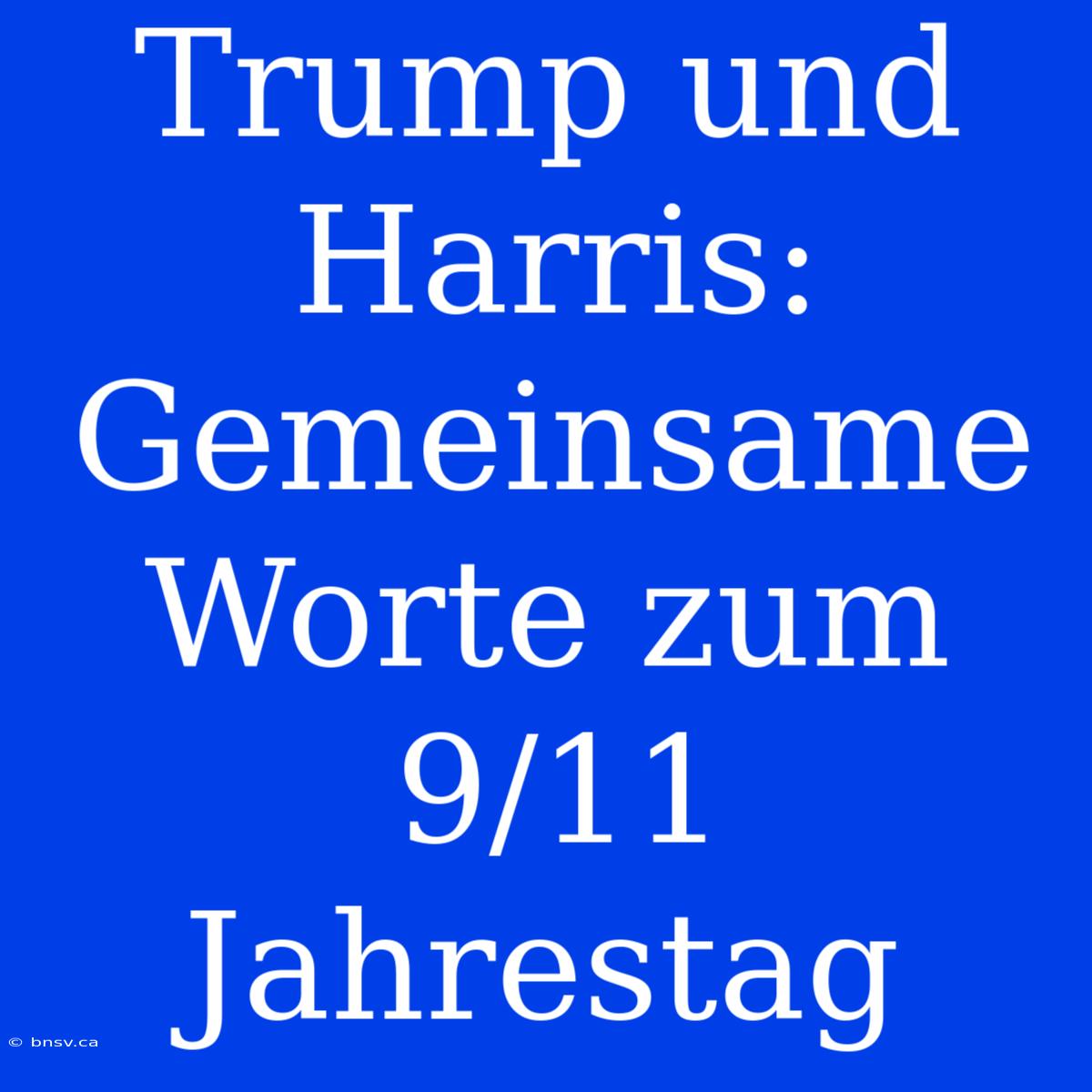 Trump Und Harris: Gemeinsame Worte Zum 9/11 Jahrestag