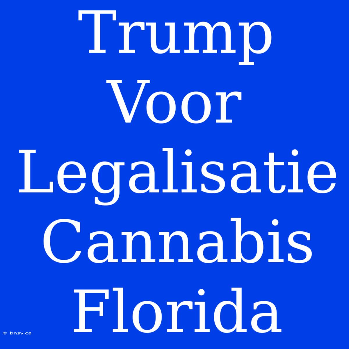 Trump Voor Legalisatie Cannabis Florida