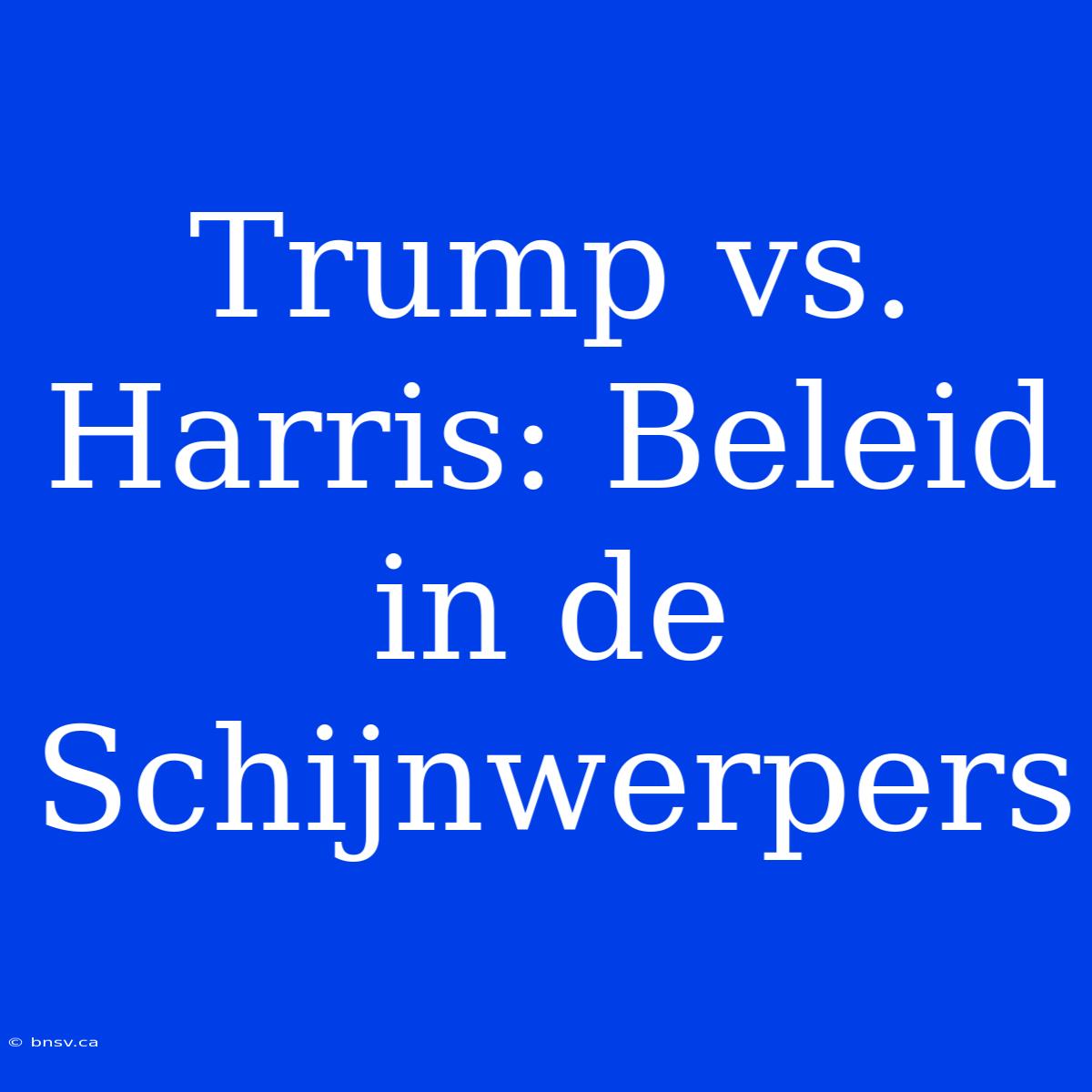 Trump Vs. Harris: Beleid In De Schijnwerpers