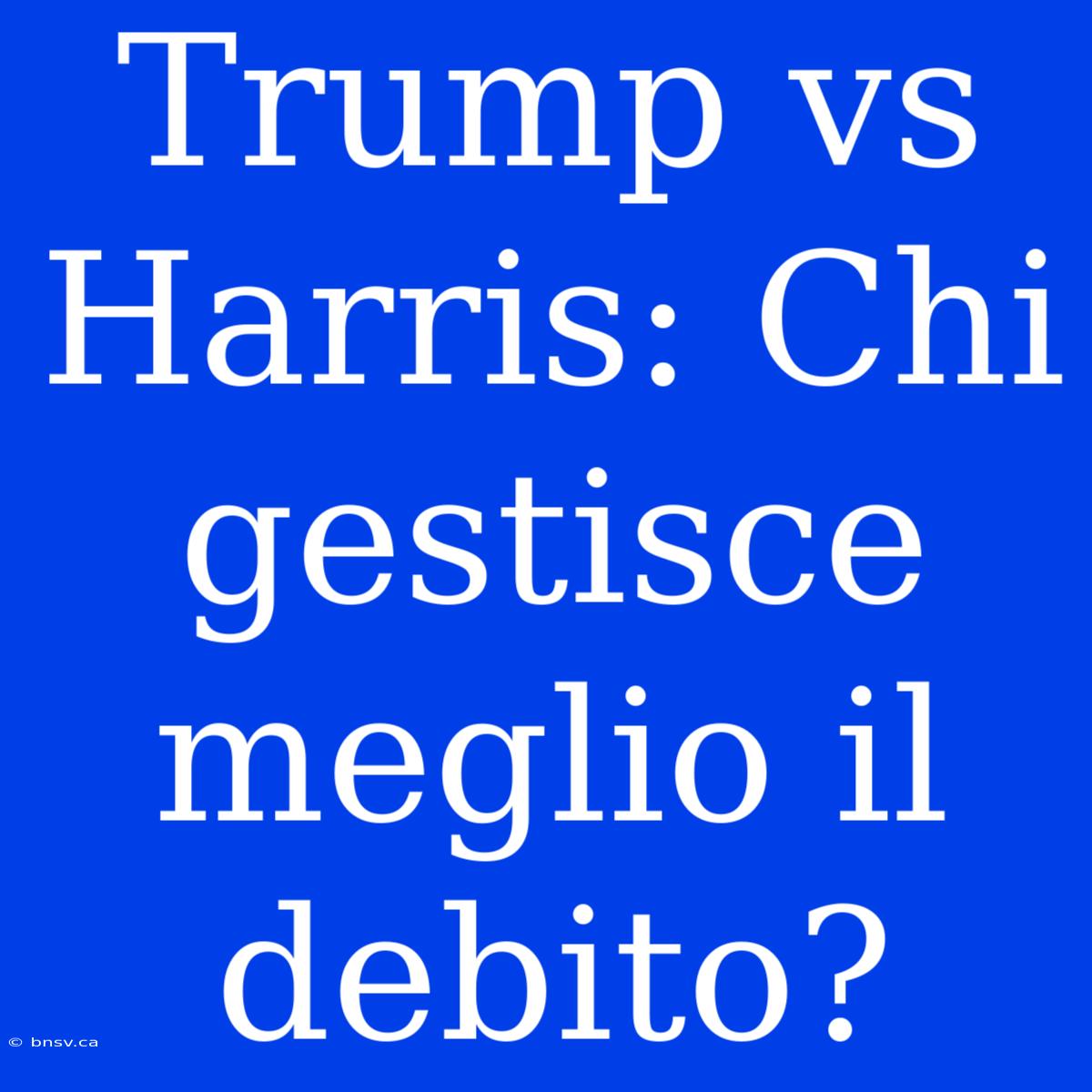 Trump Vs Harris: Chi Gestisce Meglio Il Debito?