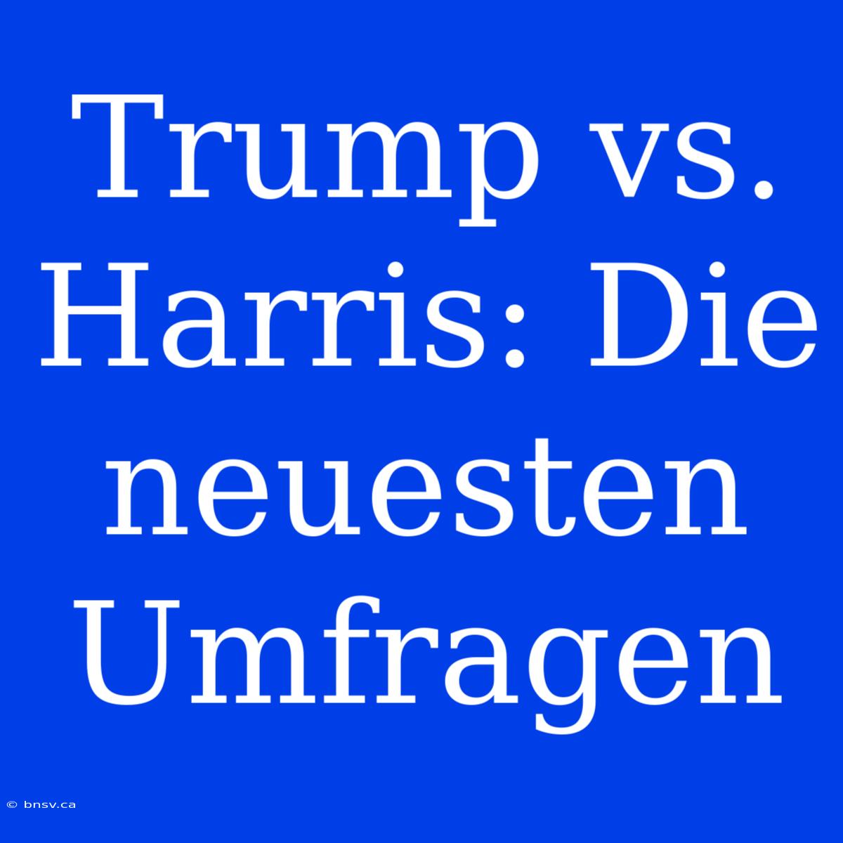 Trump Vs. Harris: Die Neuesten Umfragen