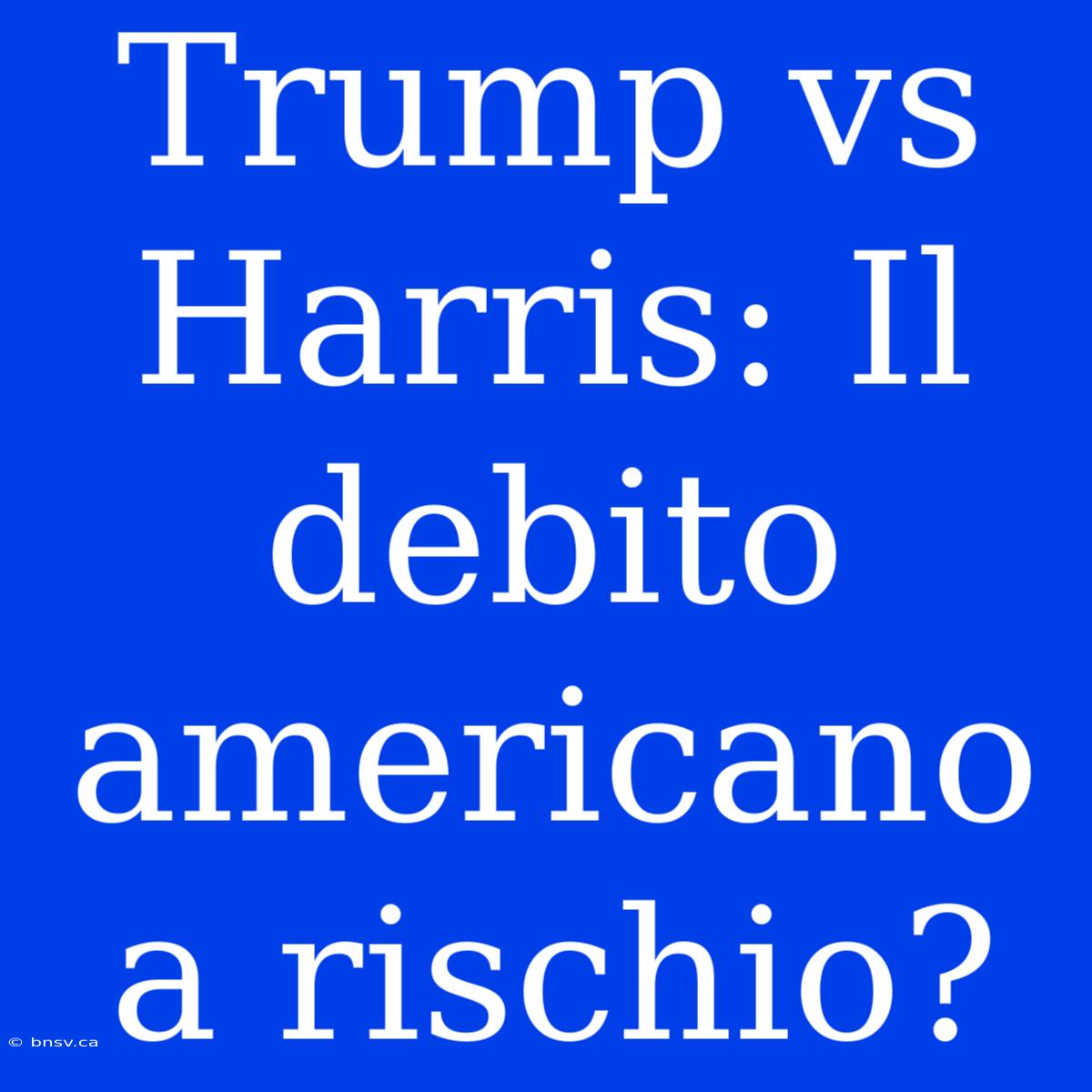 Trump Vs Harris: Il Debito Americano A Rischio?