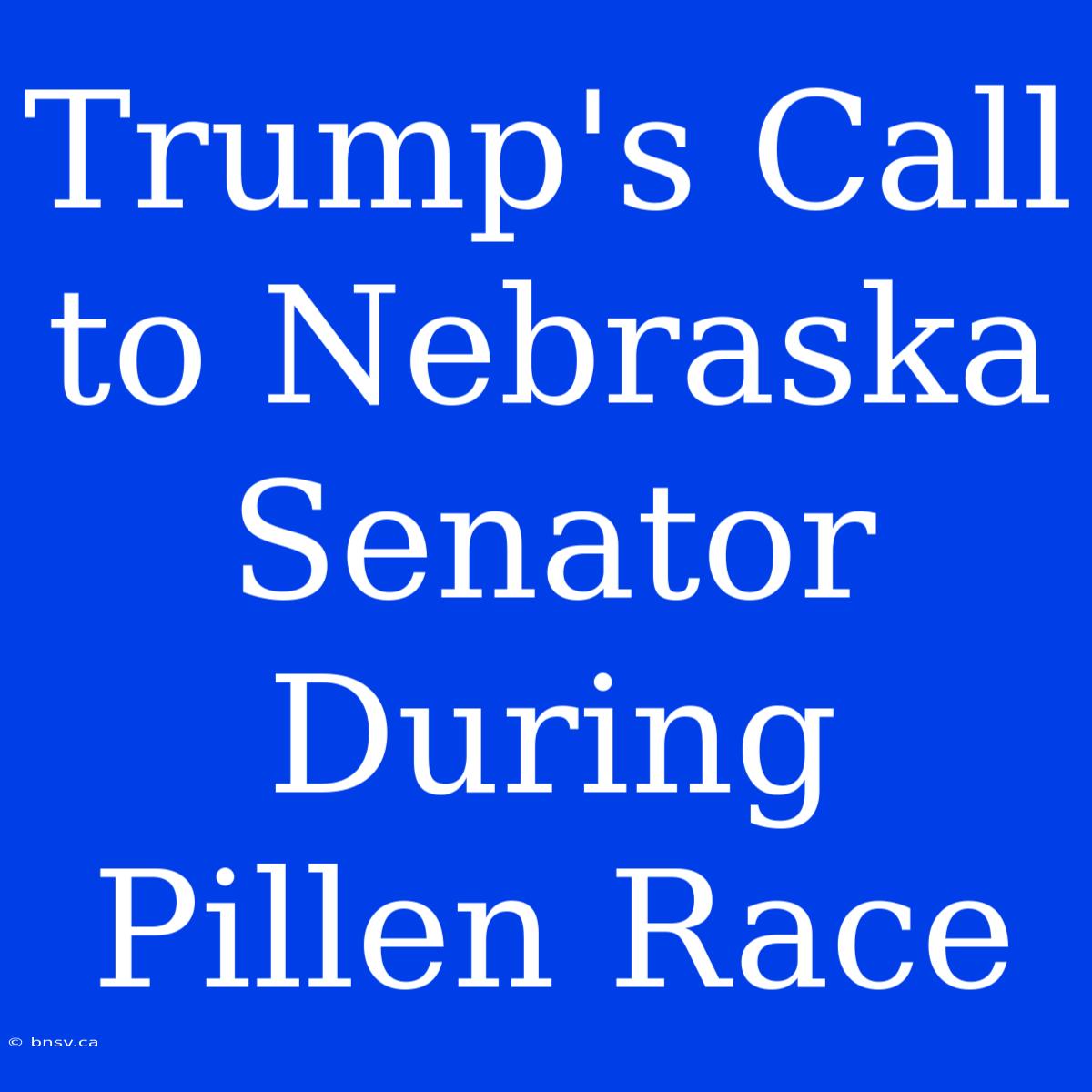 Trump's Call To Nebraska Senator During Pillen Race