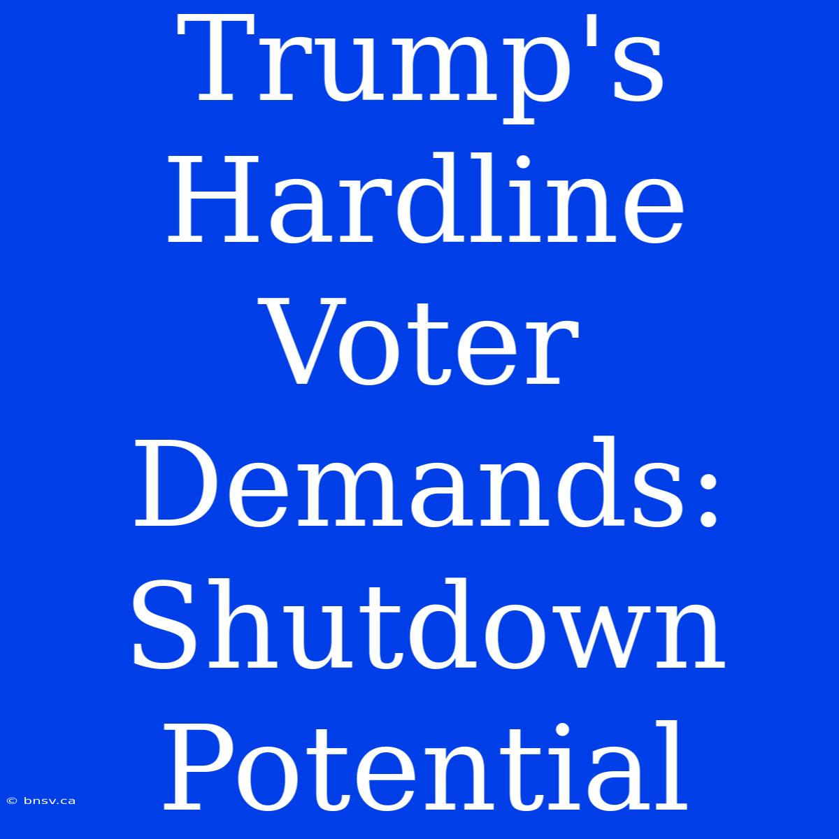 Trump's Hardline Voter Demands: Shutdown Potential