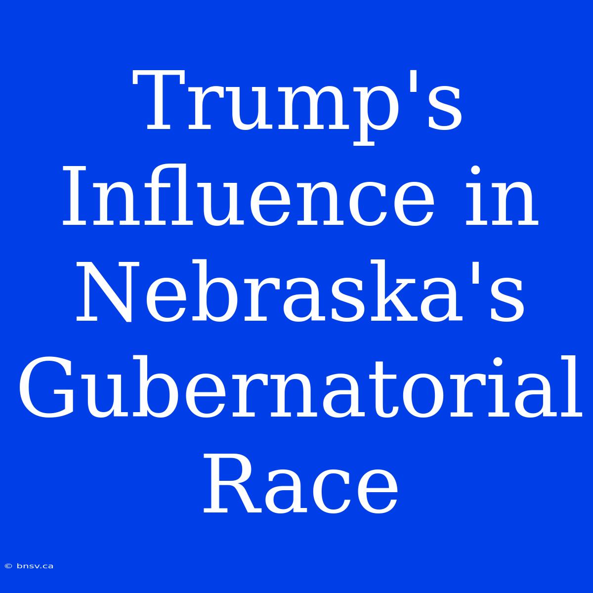 Trump's Influence In Nebraska's Gubernatorial Race