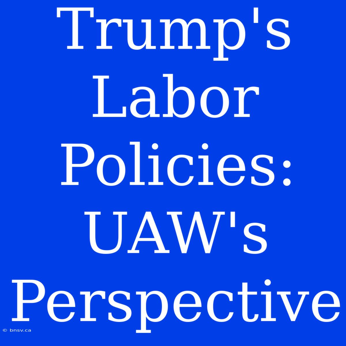 Trump's Labor Policies: UAW's Perspective