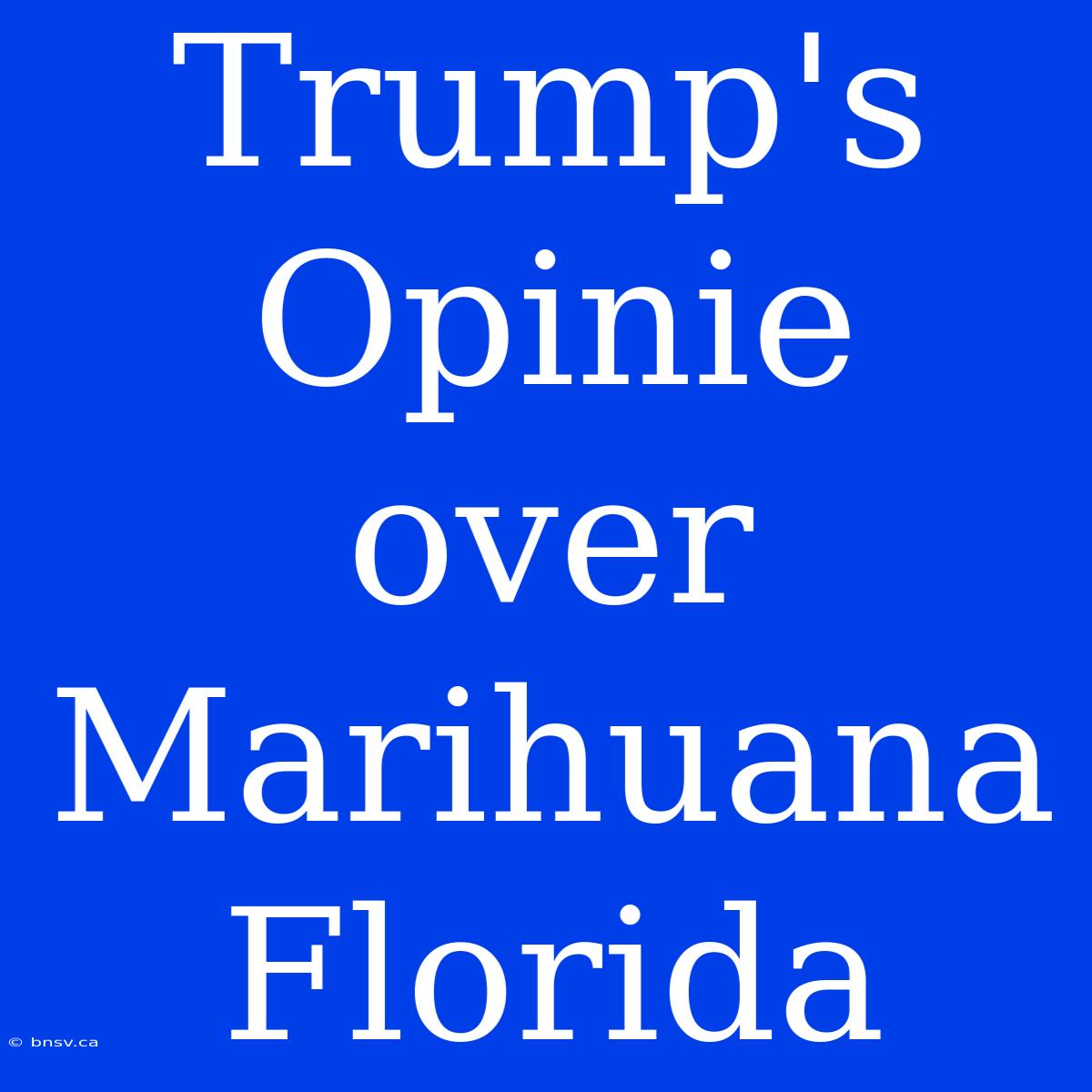 Trump's Opinie Over Marihuana Florida