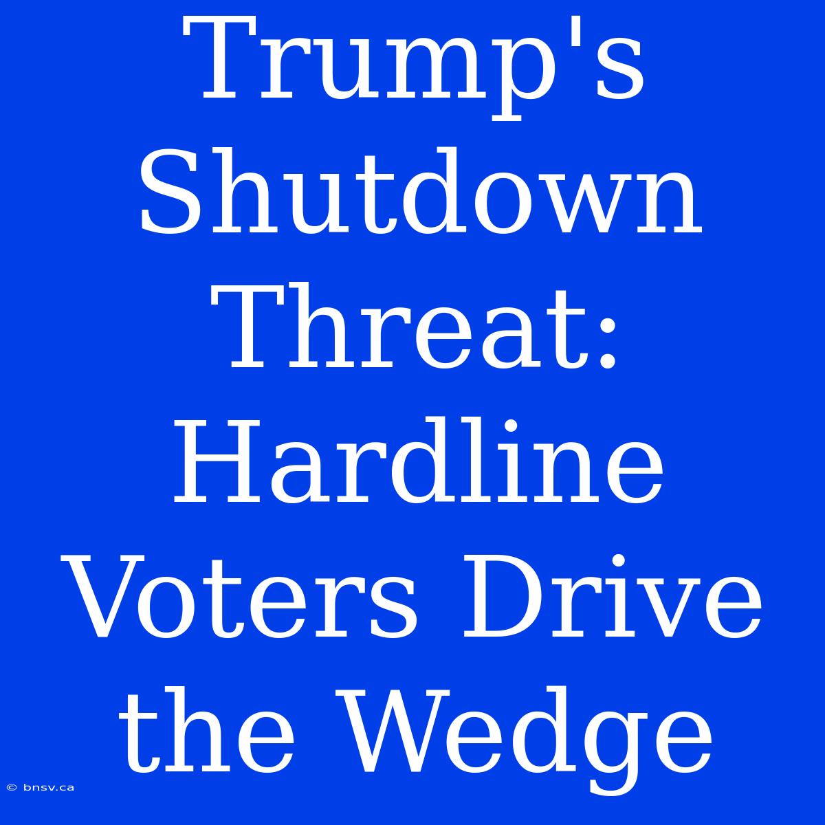 Trump's Shutdown Threat: Hardline Voters Drive The Wedge