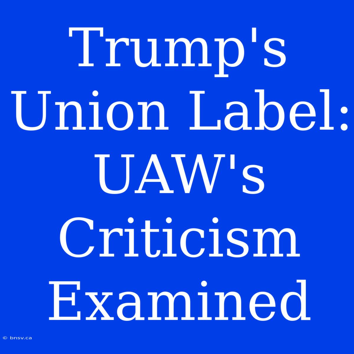 Trump's Union Label: UAW's Criticism Examined