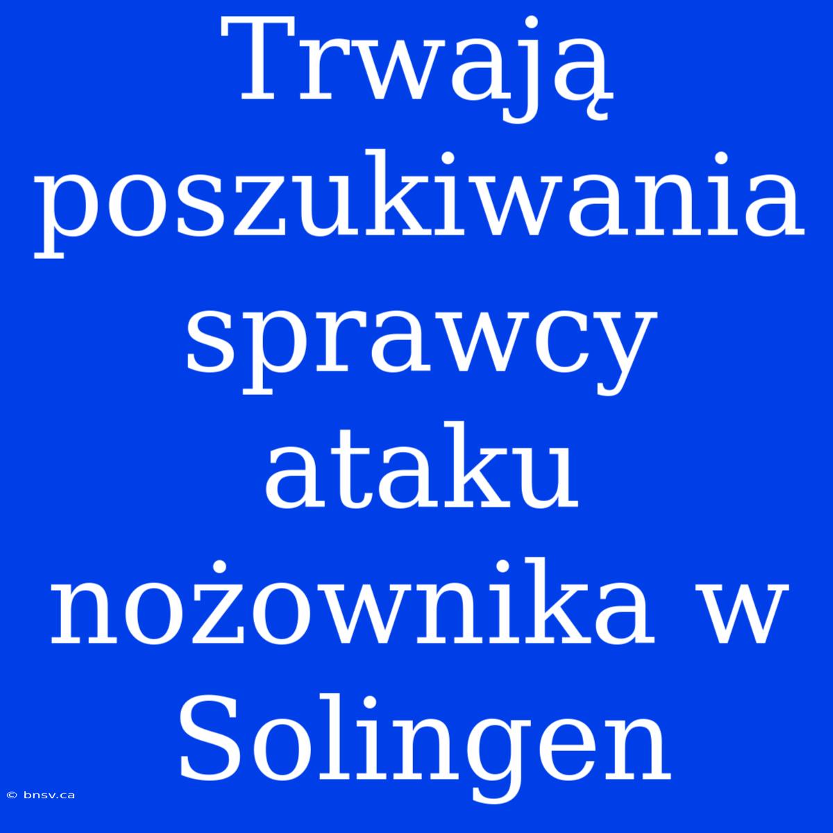 Trwają Poszukiwania Sprawcy Ataku Nożownika W Solingen