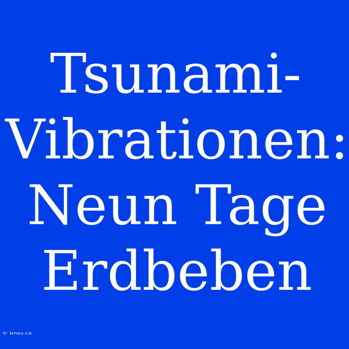 Tsunami-Vibrationen: Neun Tage Erdbeben