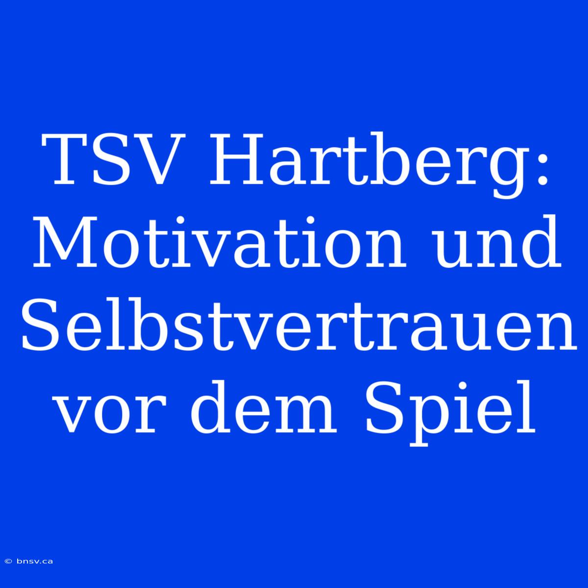 TSV Hartberg:  Motivation Und Selbstvertrauen Vor Dem Spiel