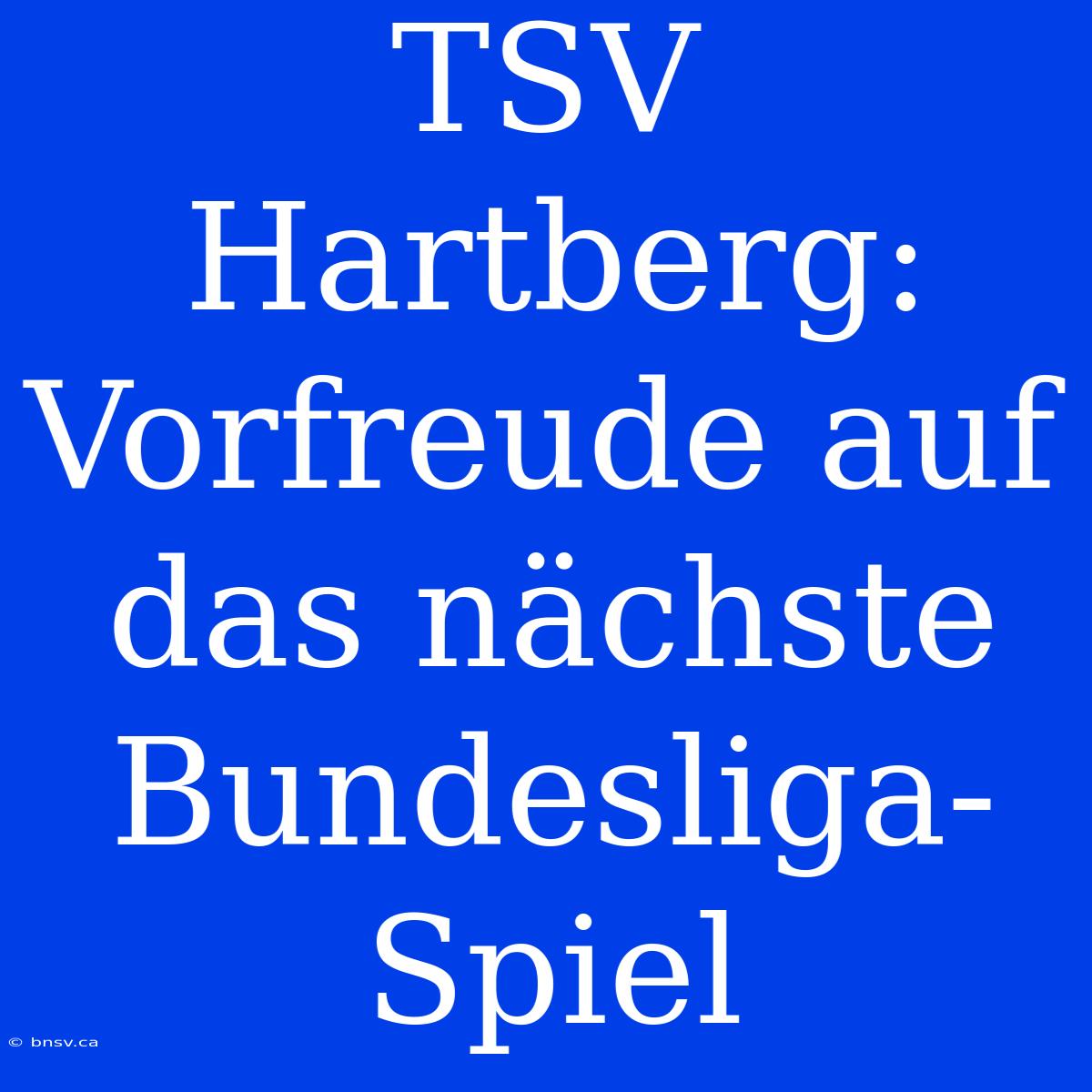 TSV Hartberg: Vorfreude Auf Das Nächste Bundesliga-Spiel